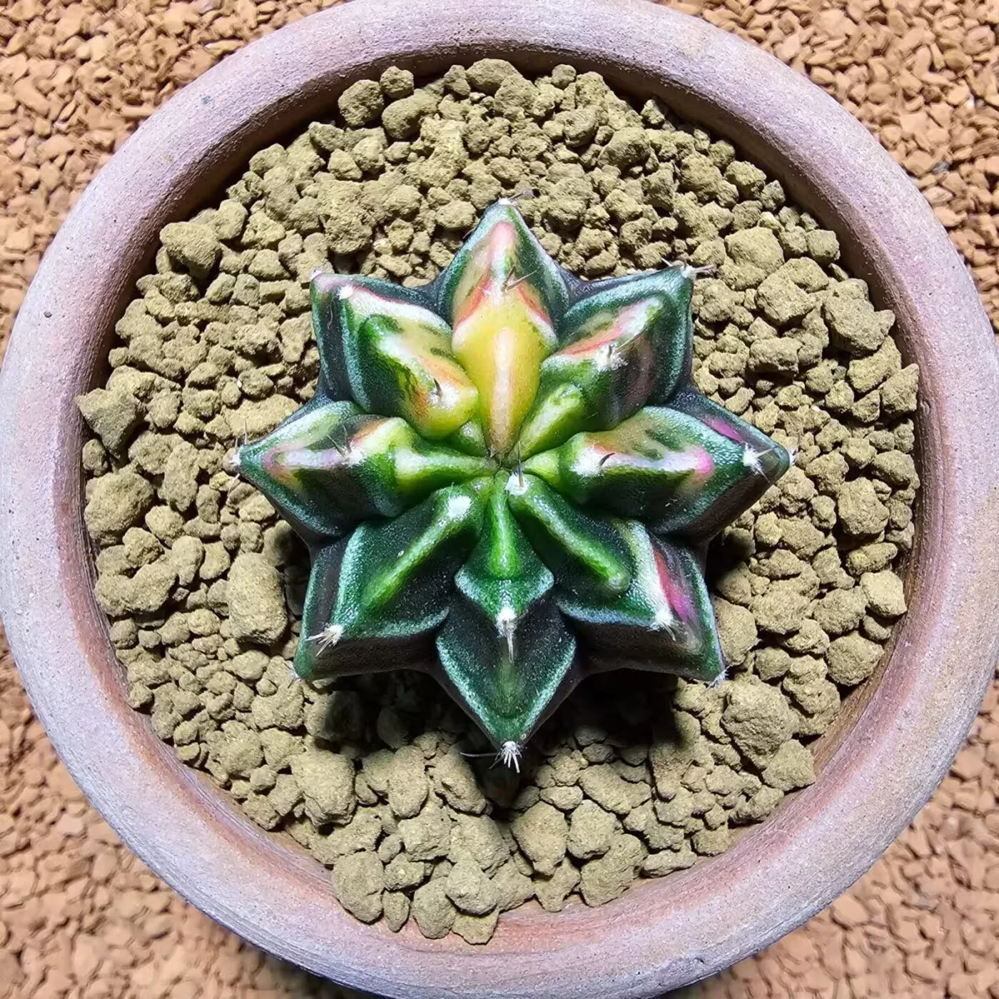 Next Product Image