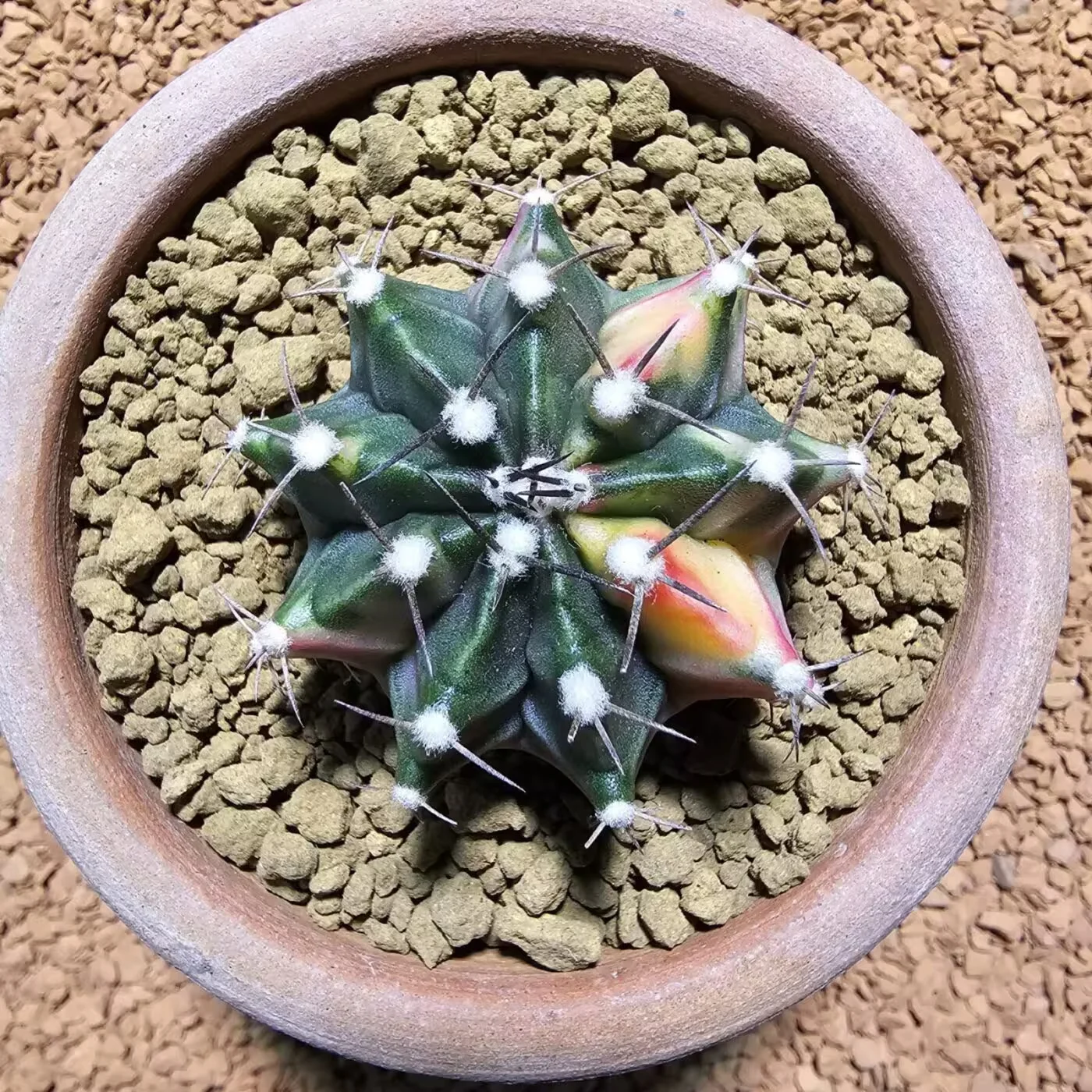 Next Product Image