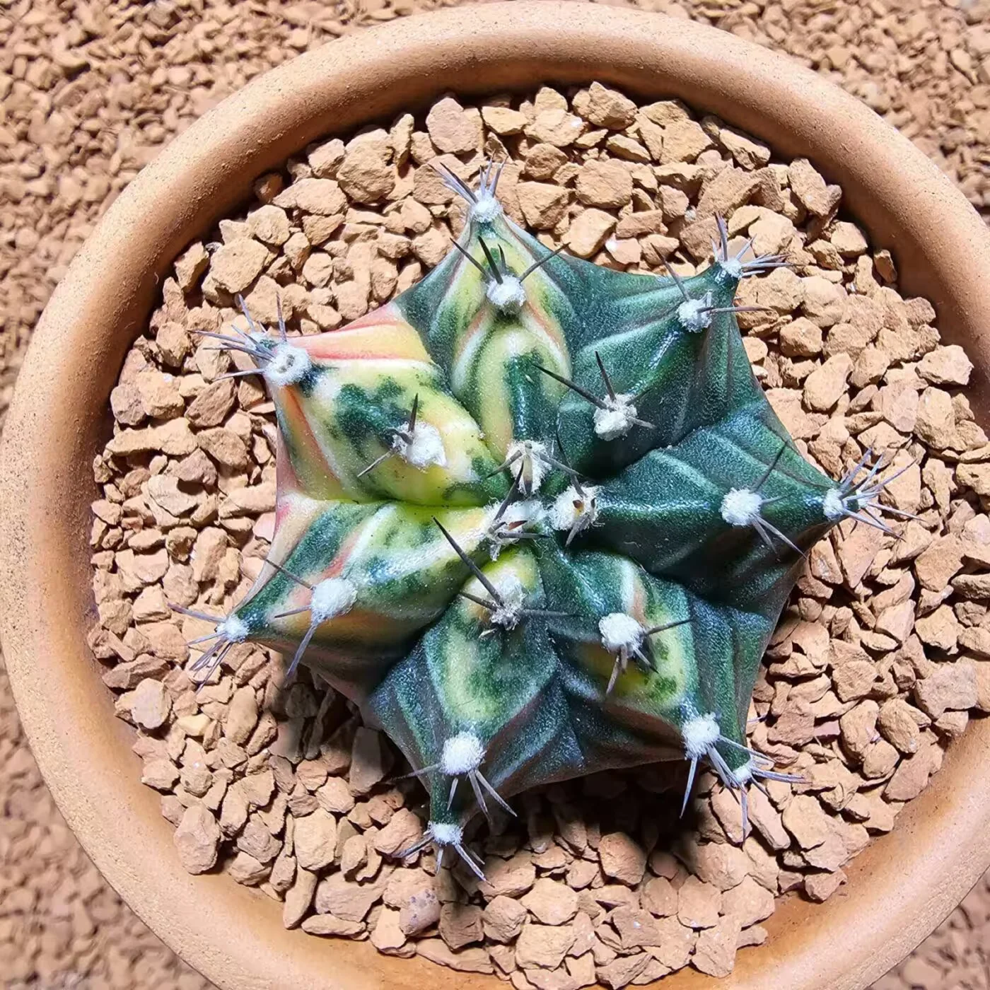 Previous Product Image