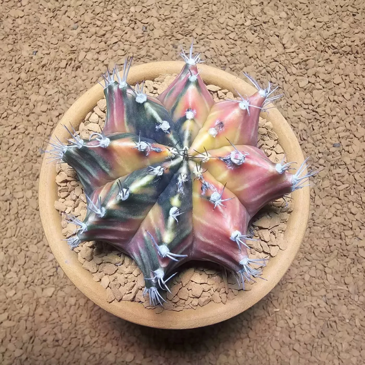 Previous Product Image
